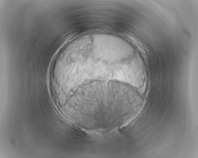 X0000115341235200912141233