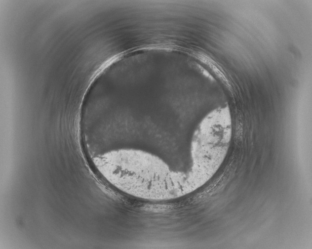 X0000115341237200912141233