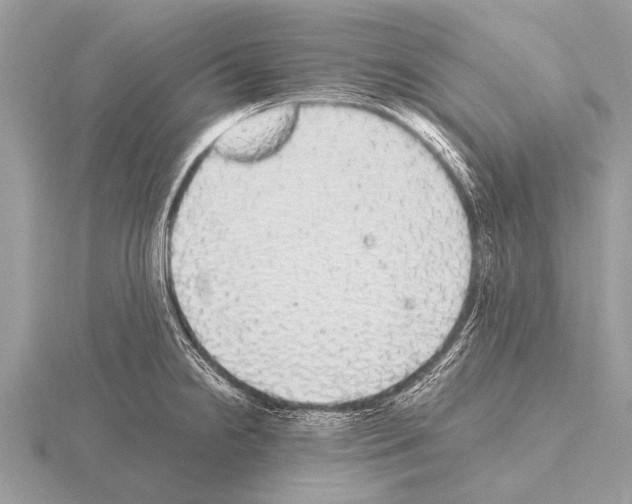 X0000115341238200912141233