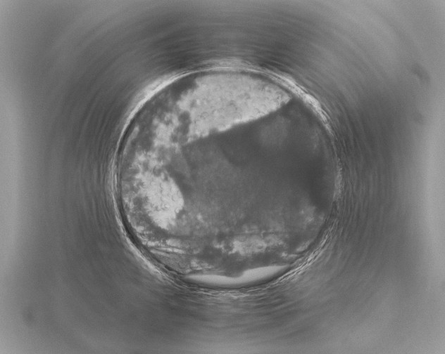 X0000115341239200912141233