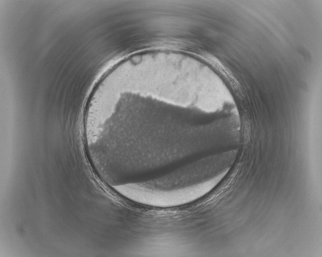 X0000115341240200912141233