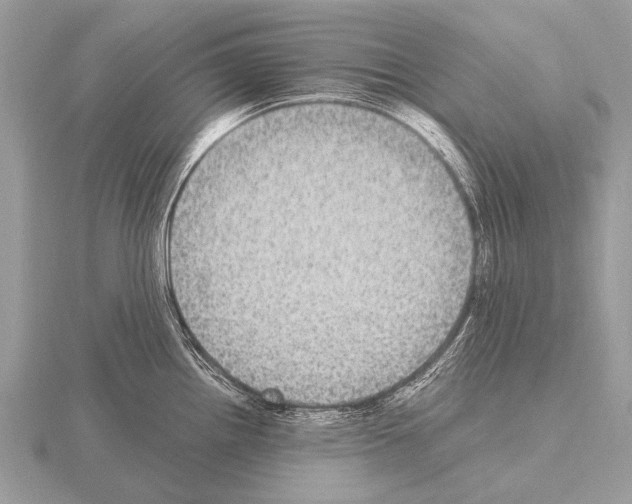 X0000115341242200912141233