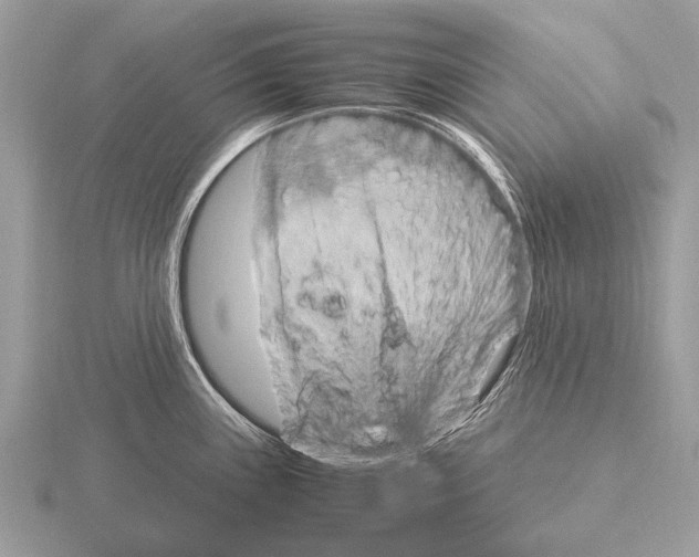 X0000115341243200912141233