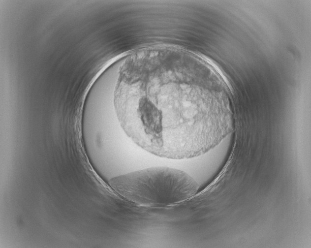 X0000115341244200912141233