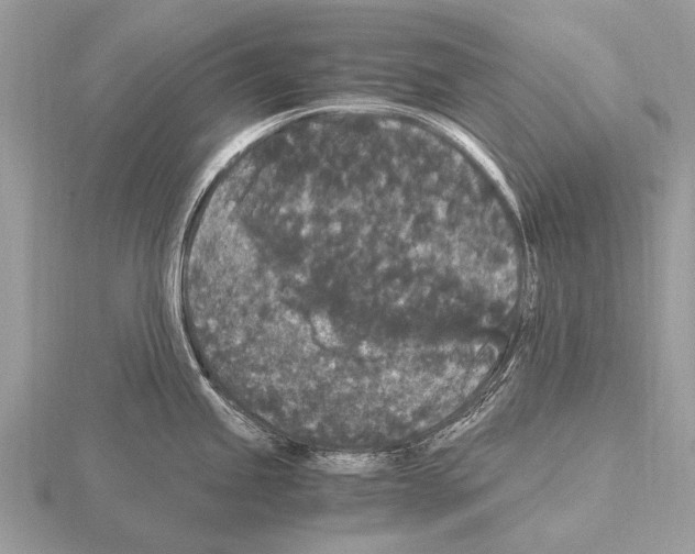 X0000115341245200912141233