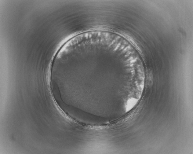 X0000115341246200912141233