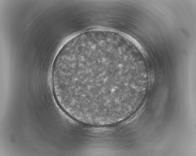 X0000115341247200912141233