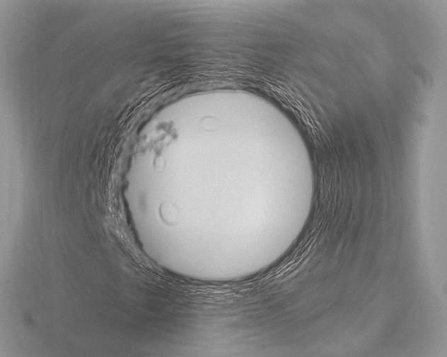 X0000115341249200912141232