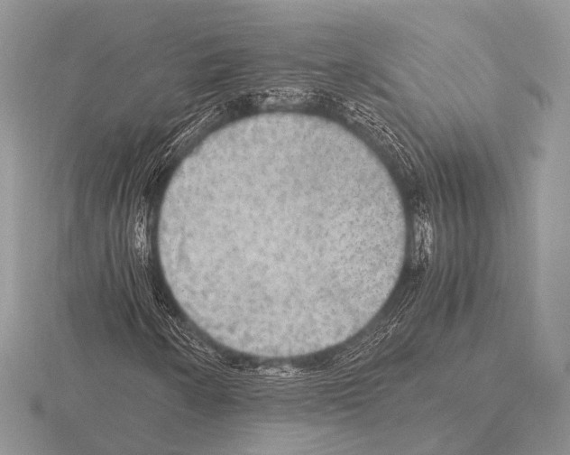 X0000115341250200912141232