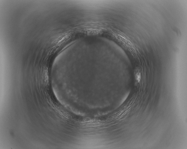 X0000115341252200912141232