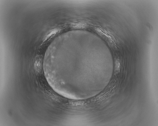 X0000115341254200912141232