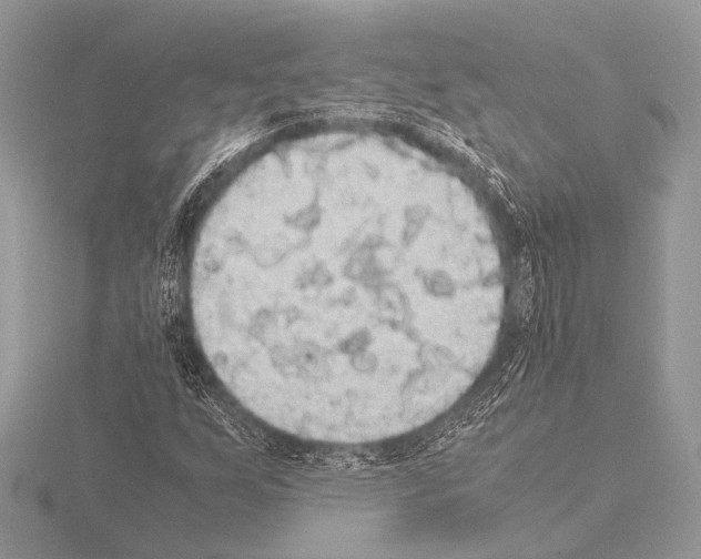 X0000115341255200912141232