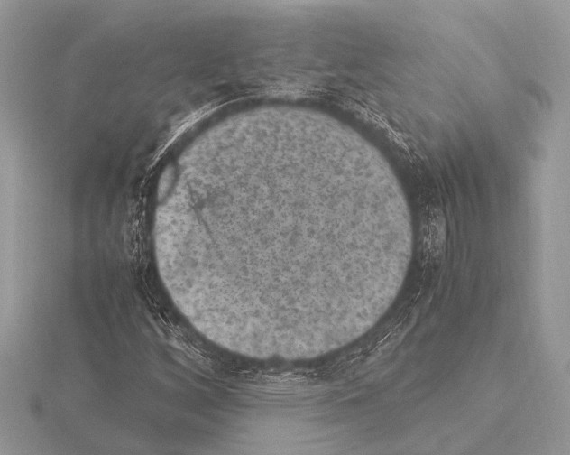 X0000115341256200912141232