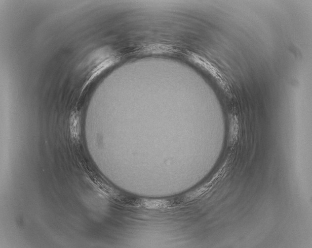 X0000115341258200912141232