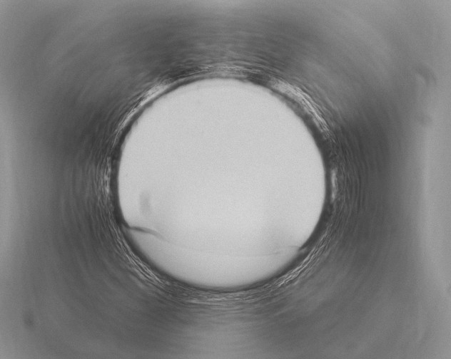 X0000115341260200912141232