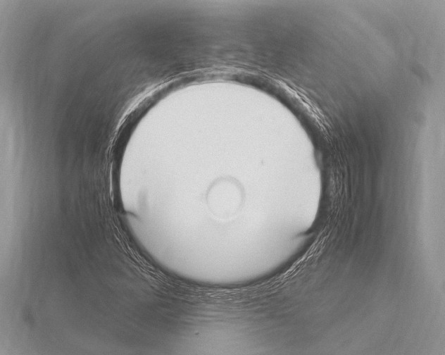 X0000115341262200912141232