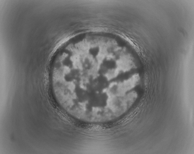 X0000115341263200912141232