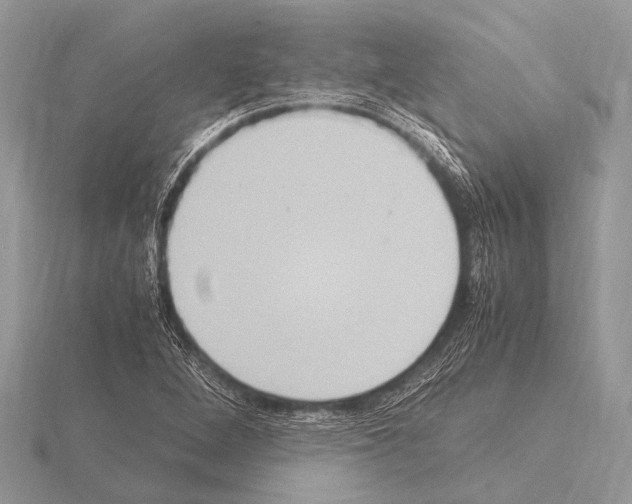 X0000115341264200912141232