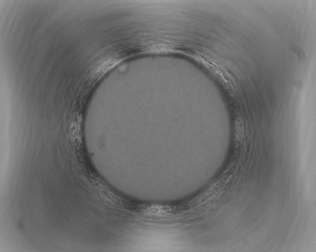 X0000115341265200912141232