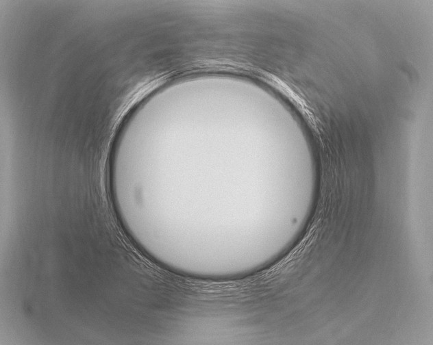 X0000115341269200912141232