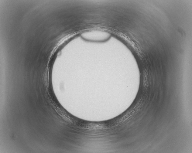 X0000115341270200912141232