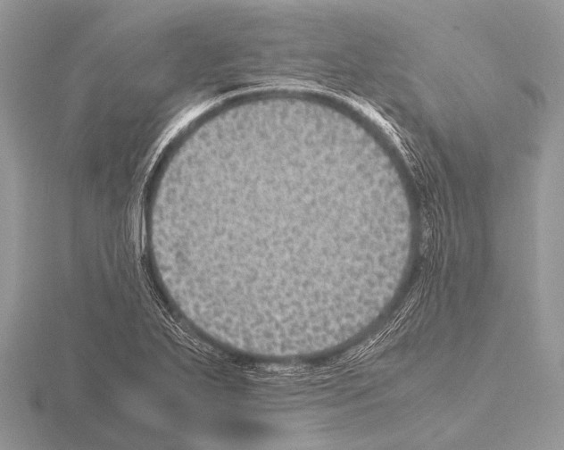 X0000115341271200912141232