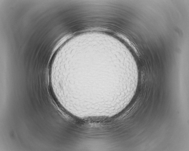 X0000115341274200912141232