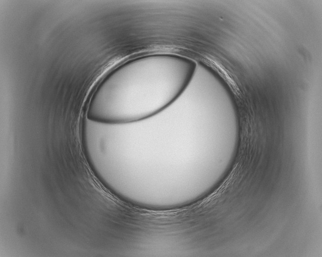 X0000115341276200912141232