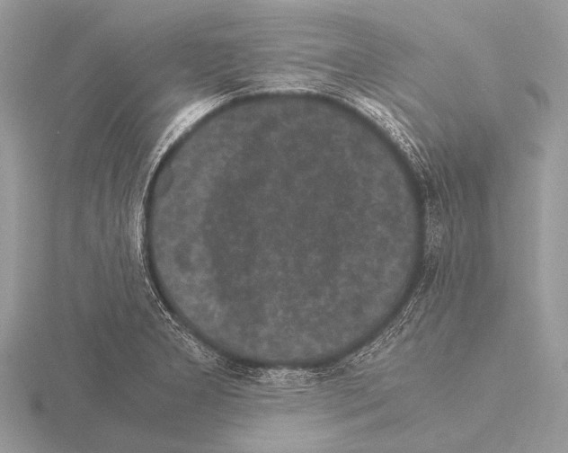 X0000115341277200912141232