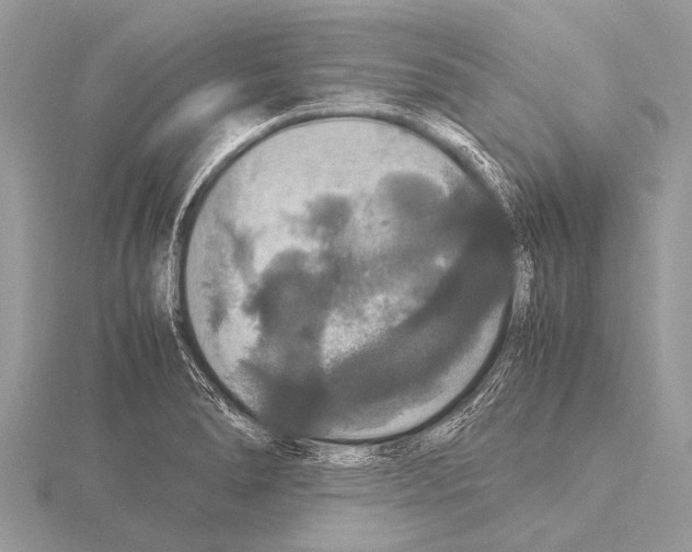 X0000115341278200912141232