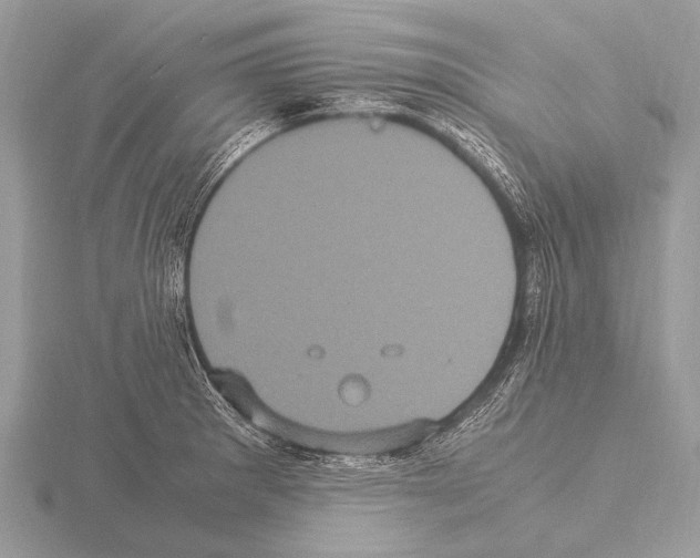 X0000115341281200912141232