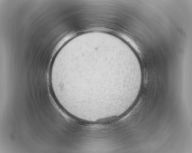 X0000115341282200912141232