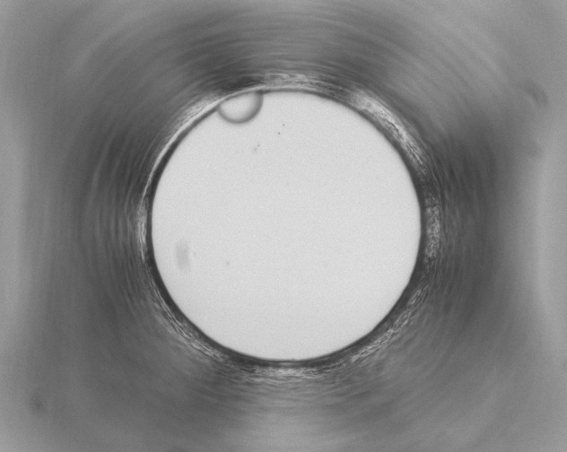 X0000115341284200912141232