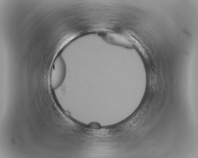 X0000115341285200912141232