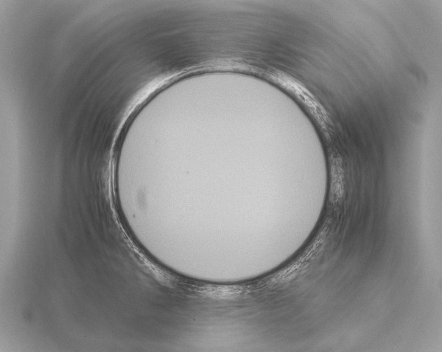 X0000115341286200912141232