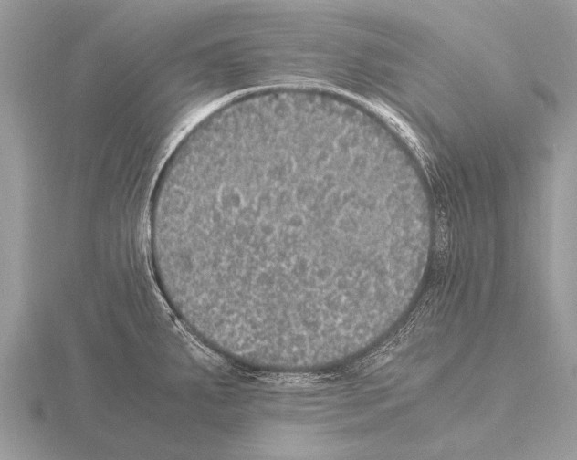 X0000115341287200912141232