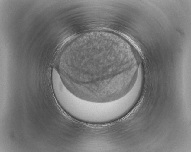 X0000115341289200912141232