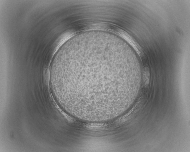 X0000115341290200912141232