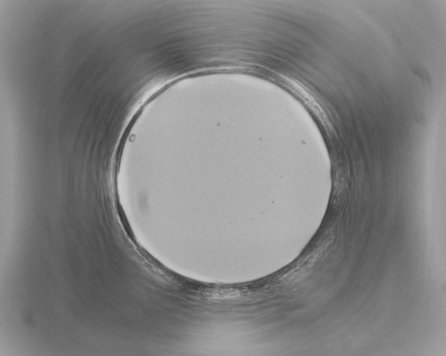 X0000115341291200912141232