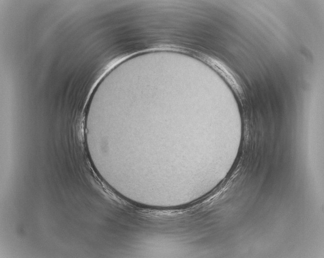 X0000115341292200912141232