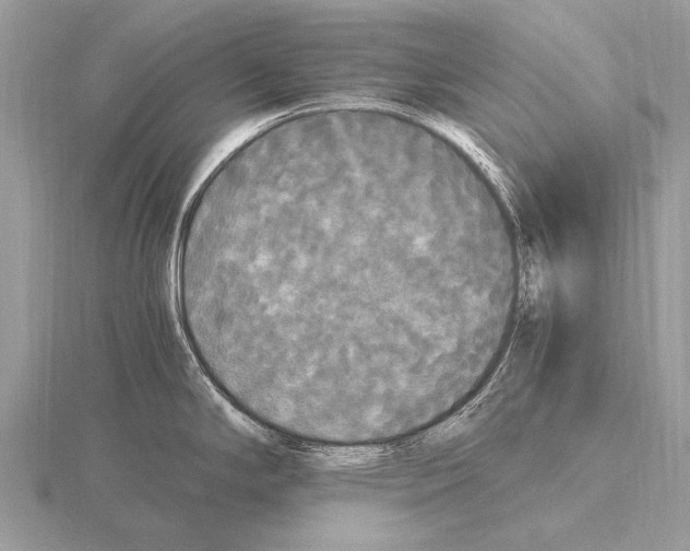 X0000115341294200912141232