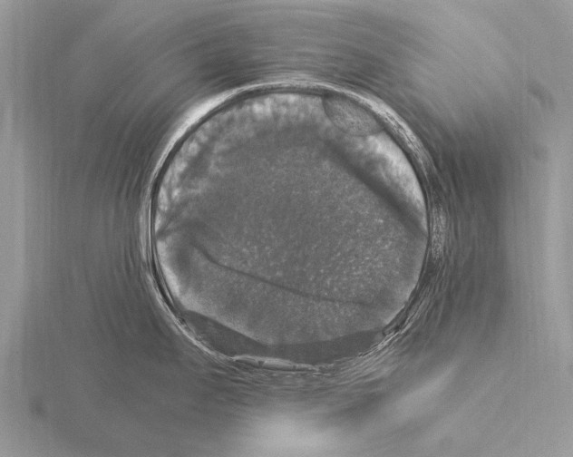 X0000115341295200912141232