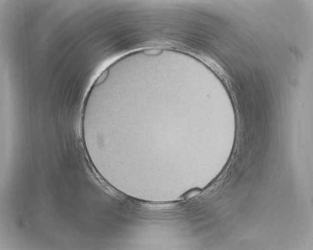 X0000115341296200912141232