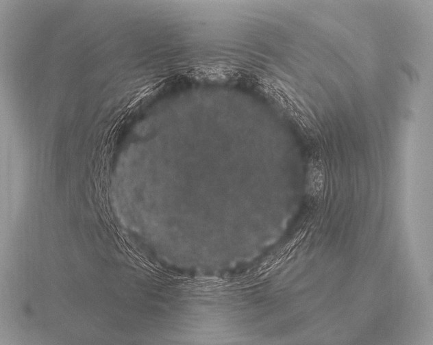 X0000115341297200912141231