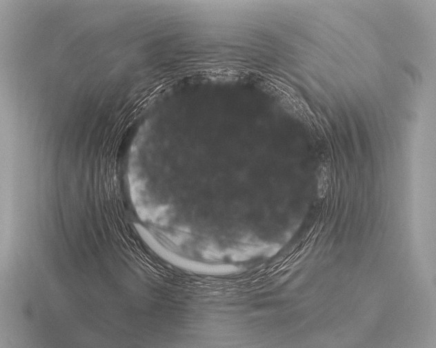 X0000115341298200912141231