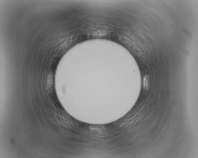 X0000115341299200912141231