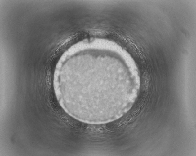 X0000115341301200912141231