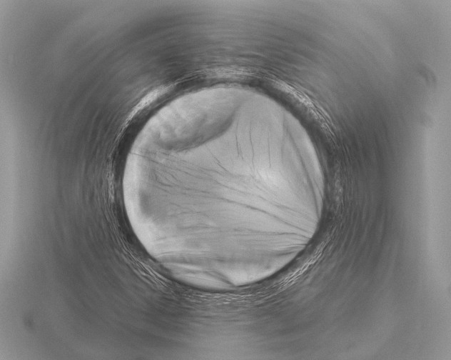 X0000115341306200912141231