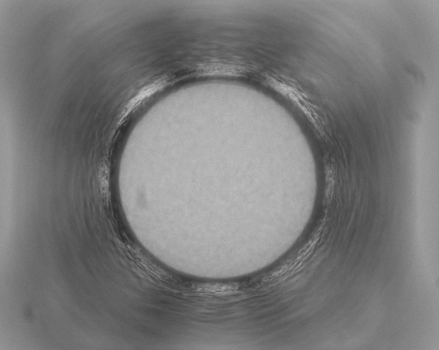 X0000115341307200912141231