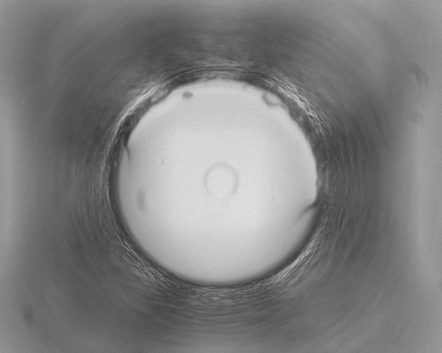 X0000115341309200912141231